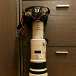 [<b>xoxo</b>] EXO홈마들의 흔한대포...