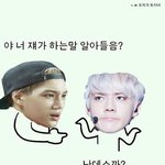 [카이] 개소리짤