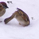 [인피니트] 증거를 대니까 할<b>말</b>이없나봄 ㅠㅠㅠ 쓸데없는 <b>사진</b> 올리고...