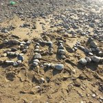 [시우민] 웅녀들 나 짠내나?ㅠㅠㅠ