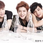 [<b>버들</b>] 팬질의 기본은 호모질이라 하지만