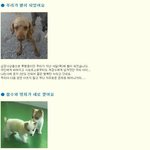 나주 <b>천사</b>의집 소식입니다