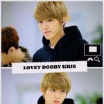 [<b>버들</b>] kris