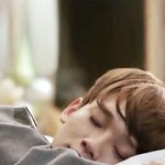 [CHEN] 종대최애들은 조금 <b>성숙</b>한 팬이었으면 좋겠다 +)ㅇㅇ수정해쪄