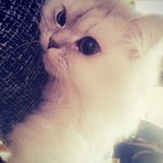 [<b>내사</b>랑환이] 내 사랑하는 환이