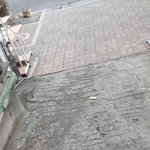 [개념상실] 상습 노상<b>방뇨</b>하는 이웃사람들...