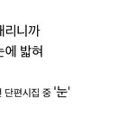 최룡선 <b>단편</b>시 - 눈