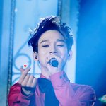 [EXO] 종대 이짤 <b>조화</b>