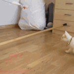 100 <b>kg</b> 을 두번 찍고 현재 몸매 ㅋㅋㅋ