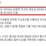 [결혼] 우즈베키스탄 감자캐는 김태희는 뻥이다!!!