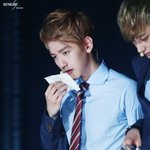 [EXO] 엑소컴퍼니