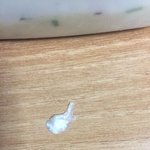 약혐) <b>본죽</b> 먹다가  피봄..ㄷㄷㄷㄷㄷㄷㄷ