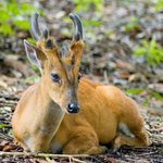 [작두] 조금 <b>생소</b>한 동물들 2탄