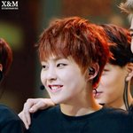 [시우민] 골디 <b>햄</b><b>찌</b>력이 상승했다