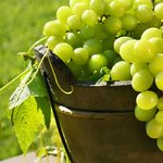 지성여드름 수분관리 하는 방법은요?