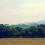 [유럽여행] [유럽<b>배낭</b>여행기] 무.사.투 시리즈 - 2편. 베네치아