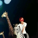 [인피니트] <b>성종</b>: