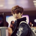 [루한] <b>허니</b>들 투표도 다 하고 짤파티 하자(즐찾 1234)