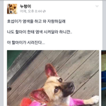 [ㅋㅋㅋ] 개이스북ㅋㅋ<b>누렁</b>이등장