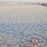 [작두] 요금 아끼려 살얼음낀 강 한복판 질줄하는 대륙의 운전자