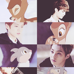 [시우민] 사슴이와 토끼라고?ㅋㅋㅋㅋ