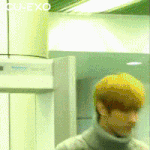 [EXO] 솔직히 나 <b>개인팬</b>