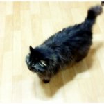 [완두콩이] <b>한지붕</b> 세여인18 _ 열 여 덟 번 째 스 토 리