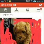 [EXO] ㅋㅋ나루한카슨대너네안믿네진짜ㅋㅋ