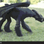 [유머] 드래곤 길들이기 코스프레.<b>gif</b>