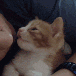 할렁~~~  <b>정화</b>타임~