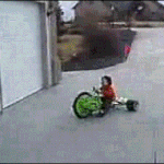 [유머] 주차 <b>신동</b>.gif