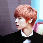 [백현] 최애만큼 아끼는 최애즈