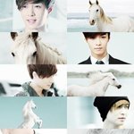 [EXO] 엑소 <b>동물</b> 비유