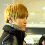 [EXO] 와 .. 이거 진심 핥어<b>택</b>움짤이네