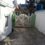 [김<b>야옹</b>이] 길고양이엄마 김<b>야옹</b>이 3탄