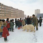 [유머] 러시아의<b>야외</b>체험학습.jpg