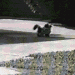 [유머] <b>양육</b>강식의 세계.gif