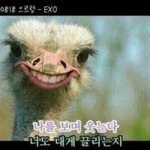 [EXO] 라면스프 <b>마약성분</b>들어있는거같애;;