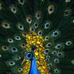 나체모델 <b>사진</b>을 <b>동물사진</b>으로 합성