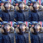 [블락비] 이태일하는짓은애기인데