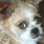 [양주보호소] 양주보호소에서 살고 있는 커피이야기~