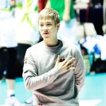 [블락비] 표지훈<b>덩치</b>봐ㅠㅠㅠㅠ
