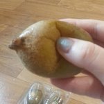 [어이없음] 요즘엔<b>키위</b>썩은것도파나봐요