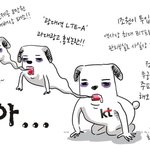<b>kt</b>좀 요즘 마음에 안든다.