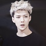 [EXO] 나지금 오세훈 보고싶어서 미치겠음