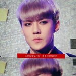 [EXO] 세훈이<b>타투</b>