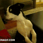 [시우민] 오늘 웅녀들의 모습.<b>gif</b>