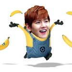 [백현] 꽃님이들사진올릴때로고가려야되ㅋㅋㅋㅋ
