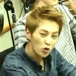 [시우민] (ㅅㄷ) 비글 입양했어 ㅎㅎㅎㅎ