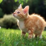 [시우민] 민석이와 <b>동물</b>.